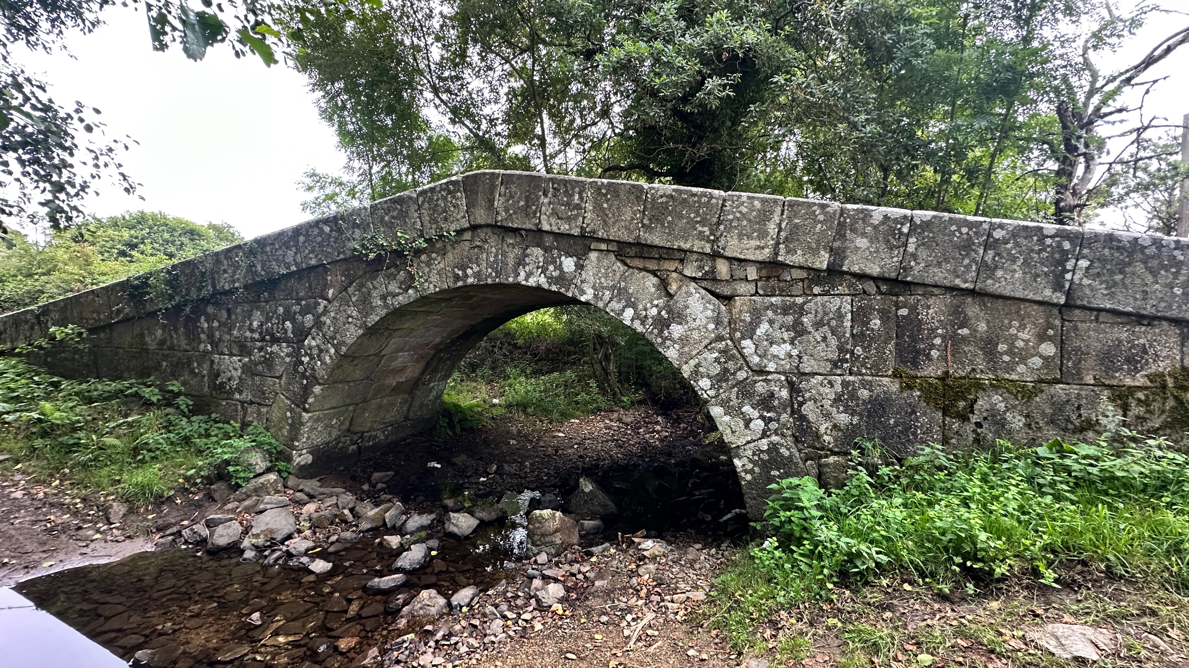 Day 4 - Walk from Palas de Rei to Melide