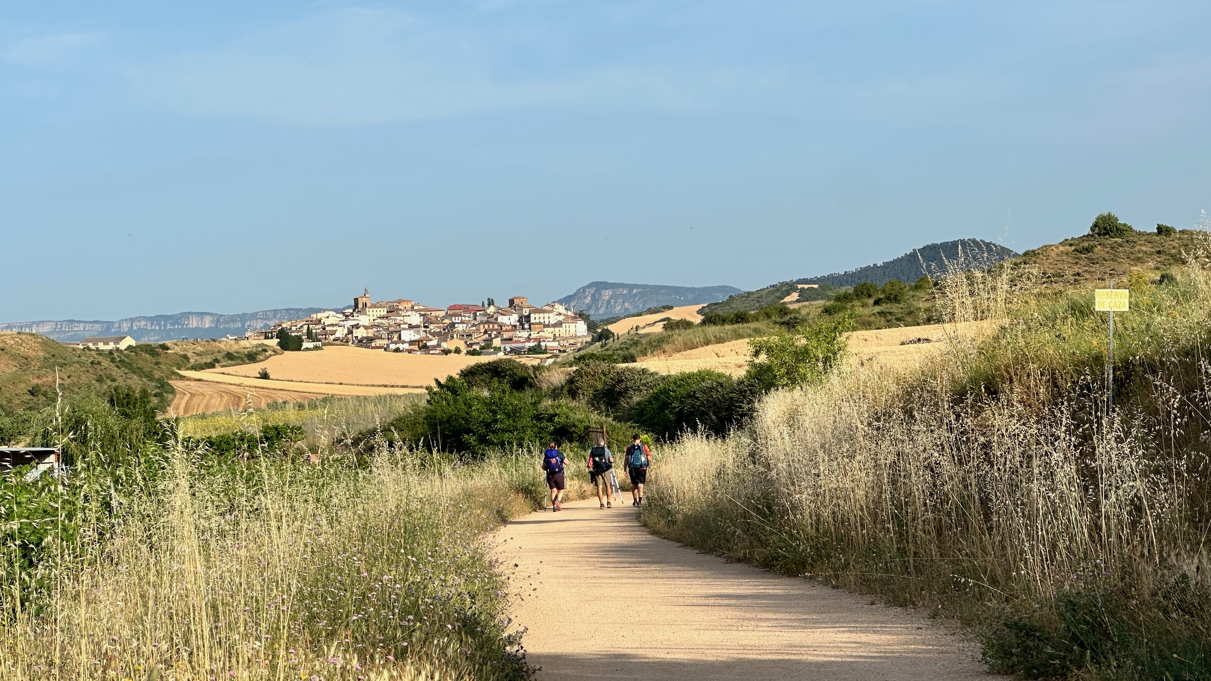 Day 7 - Puente la Reina to Estella
