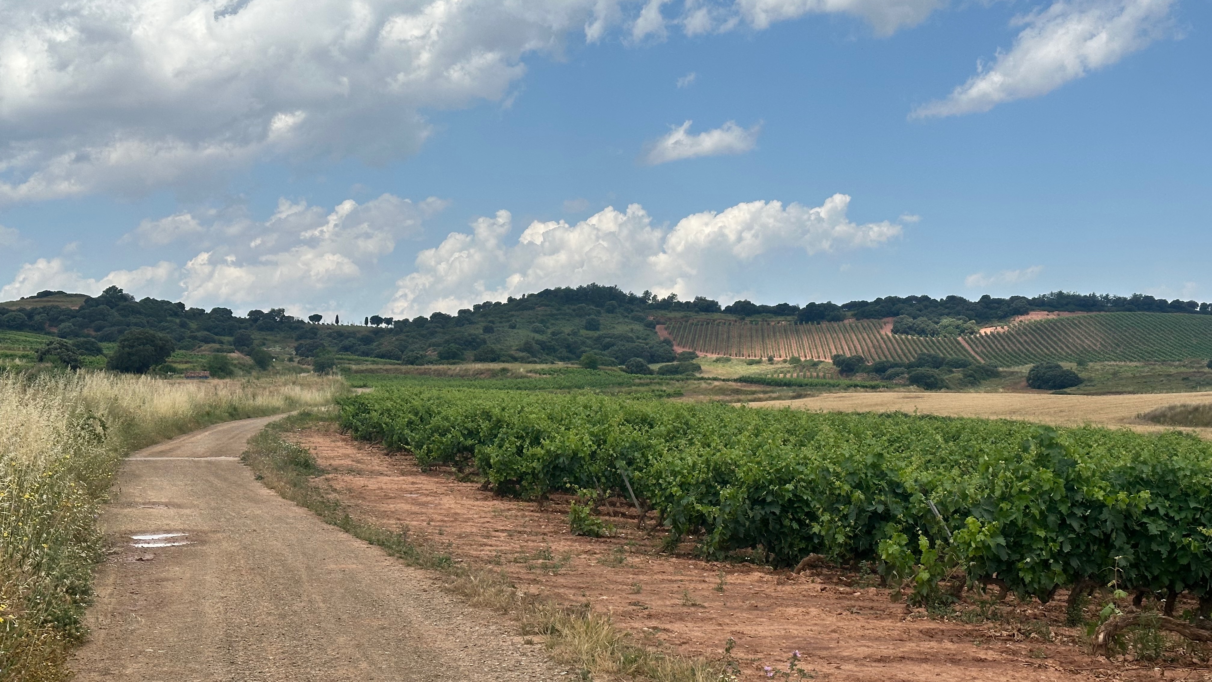 Day 11 - Navarette to Nàjera