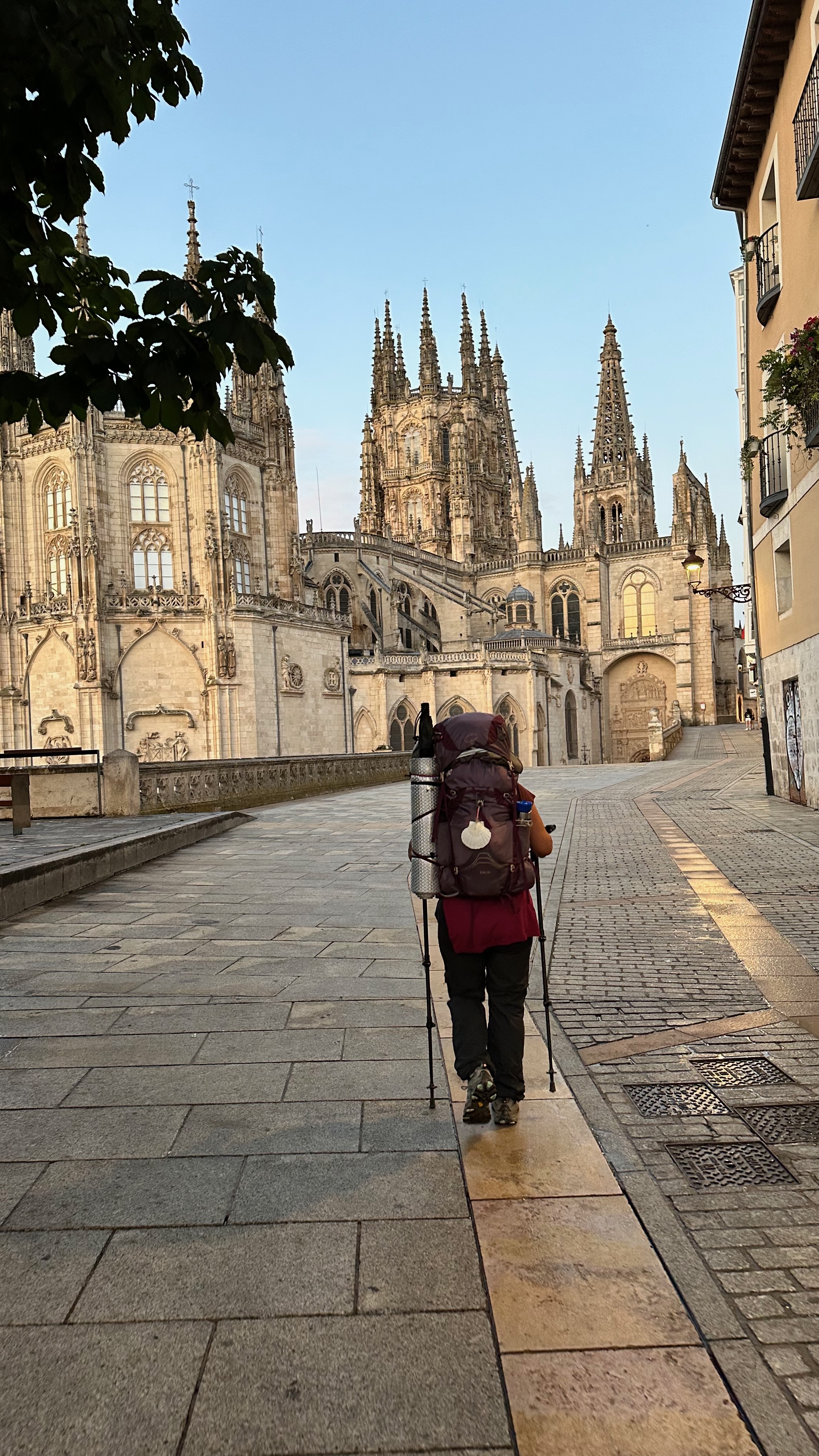 Day 15 - San Juan de Ortega to Burgos