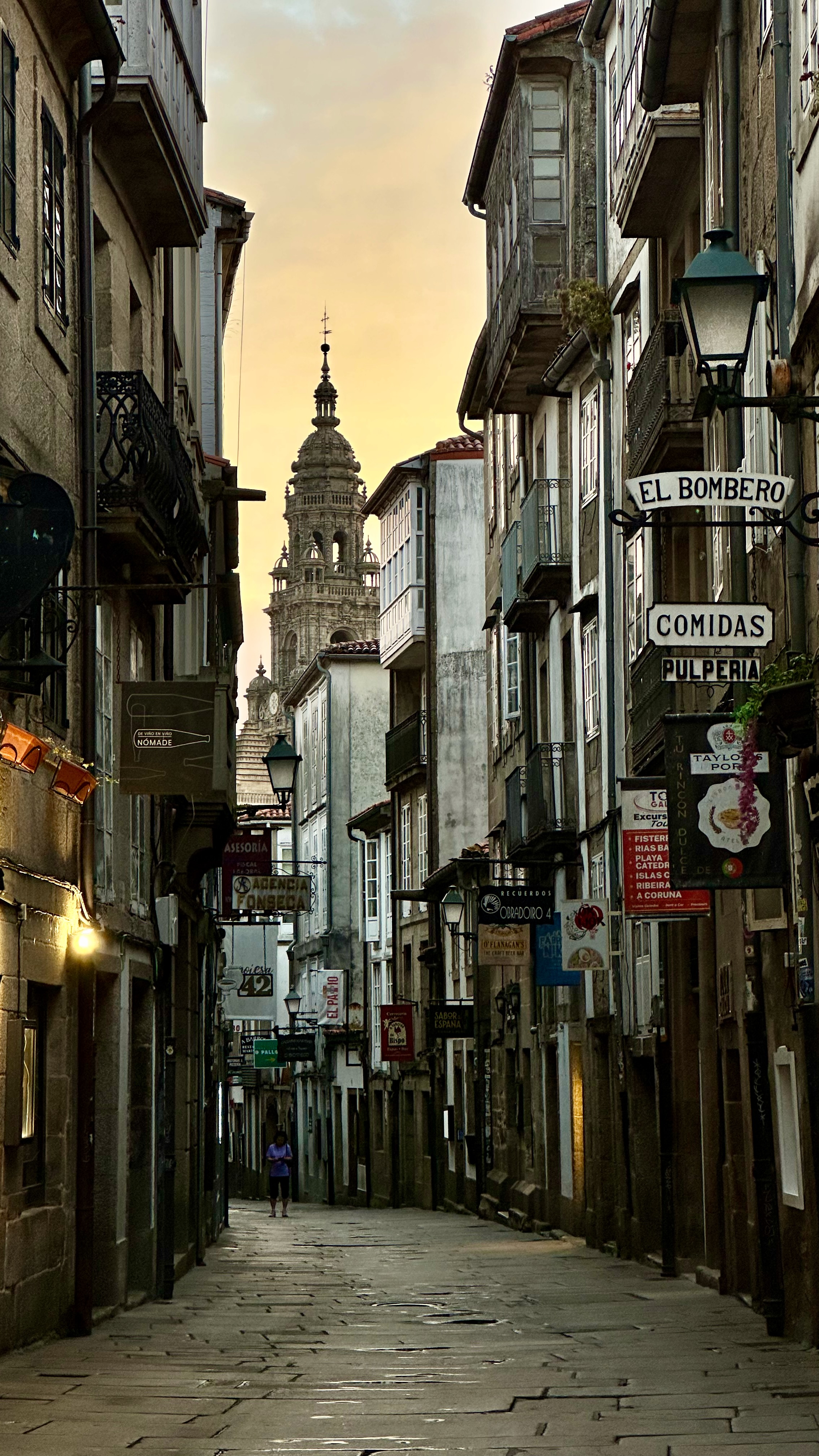 Day 43 - Depart Santiago