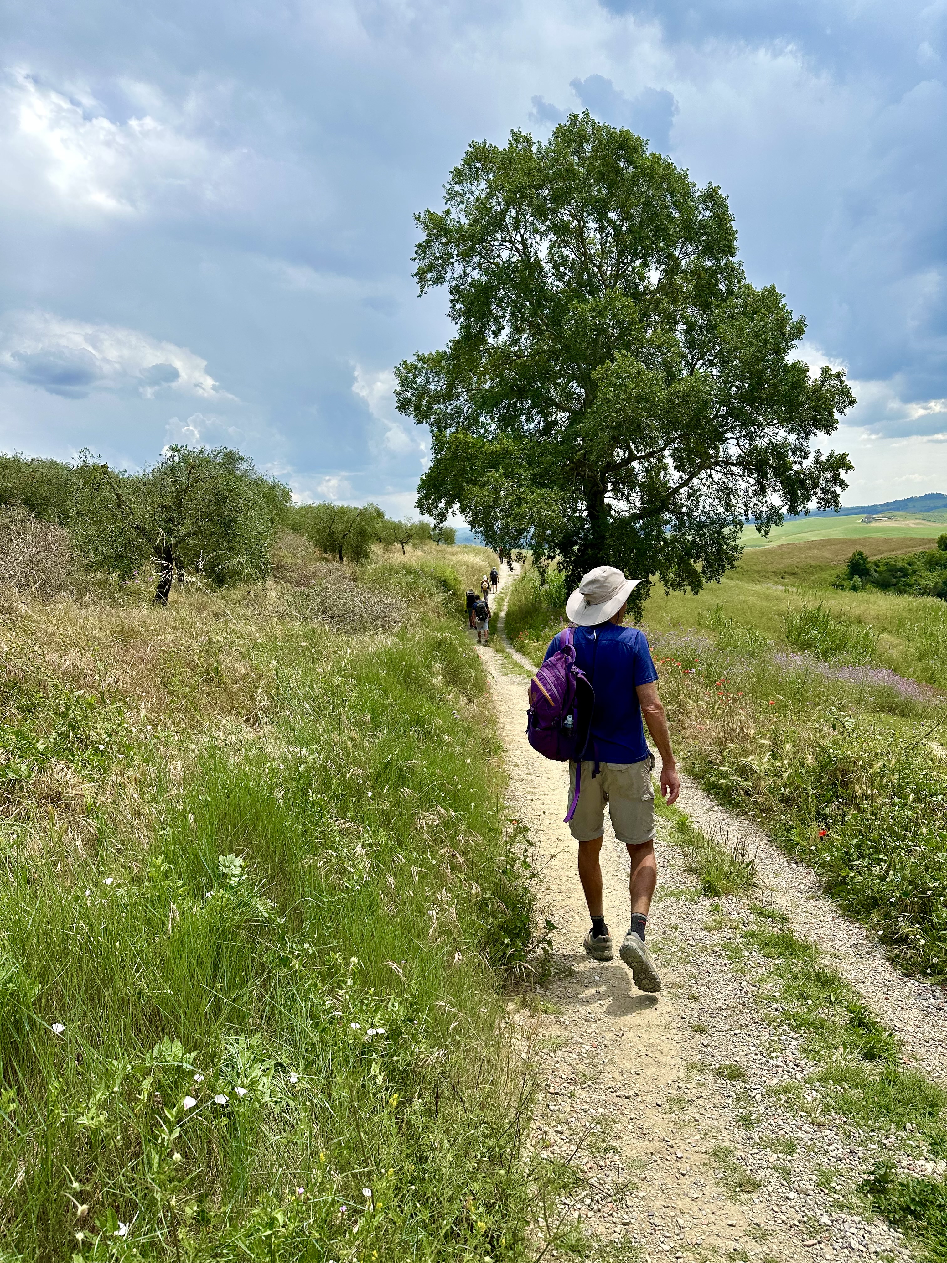 Day 6 - San Miniato to Gambassi Terme