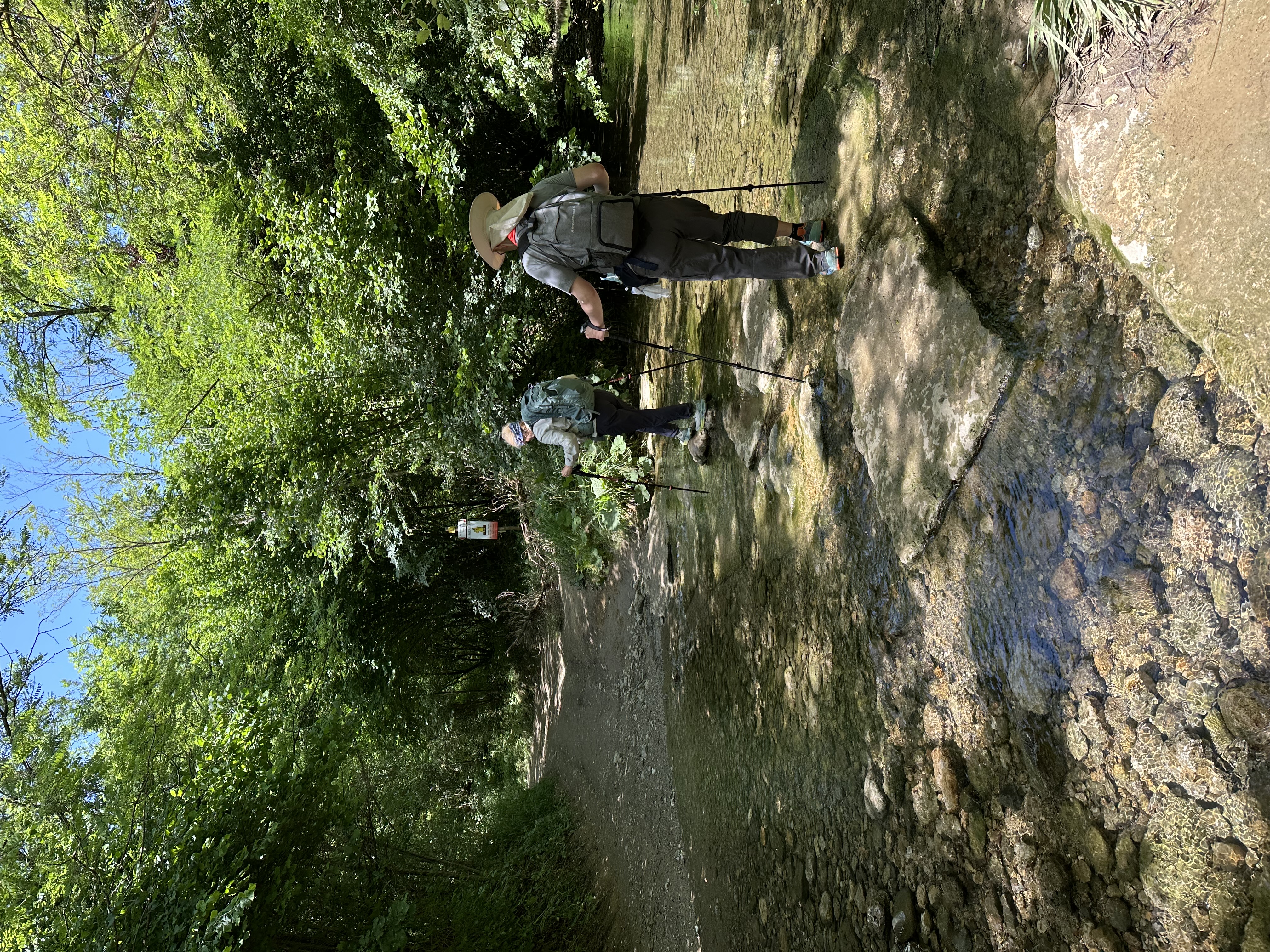 Day 8 - San Gimignano to Colle di Val d'Elsa