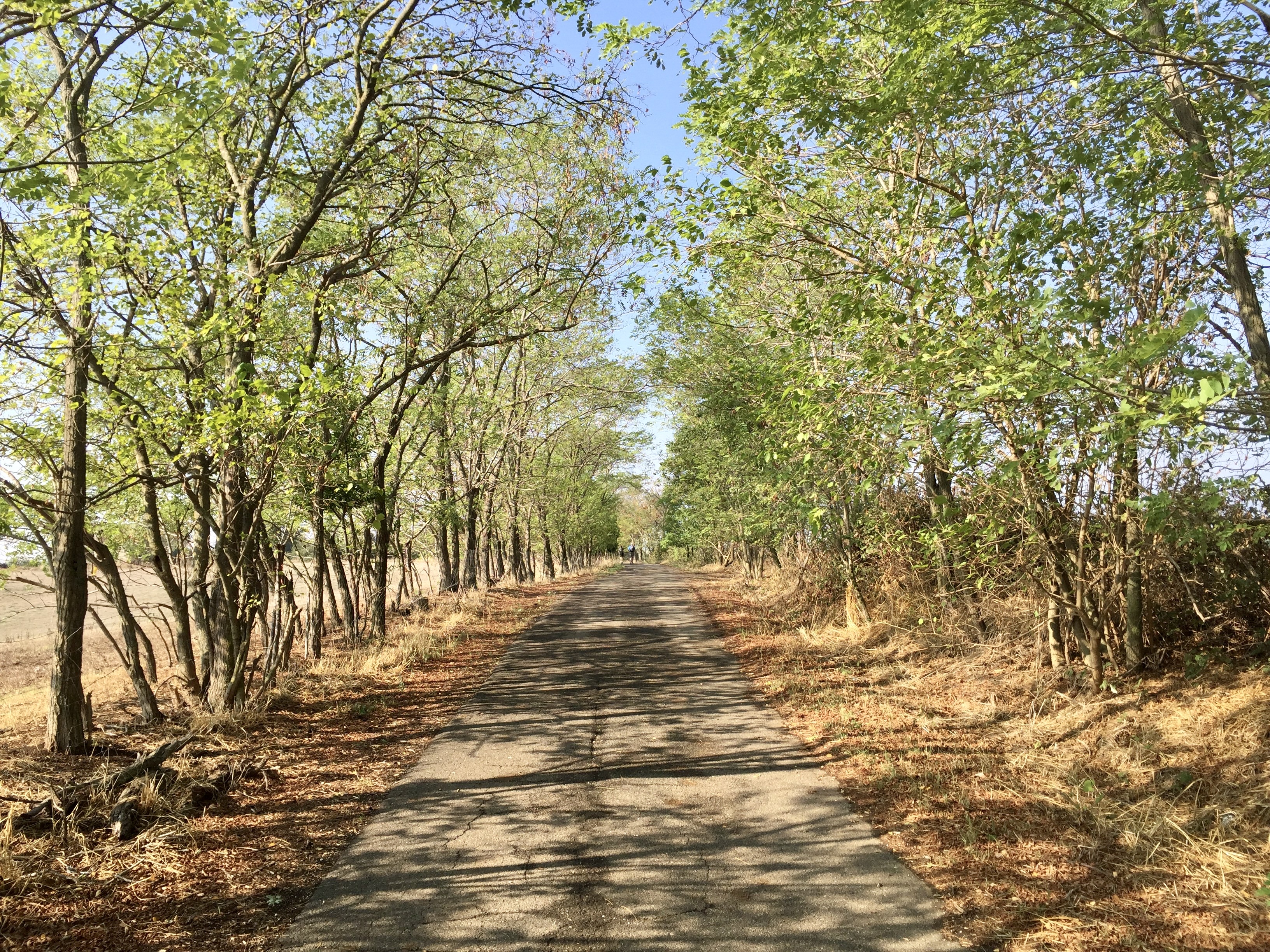 Day 5 - Monterotondo to Monte Sacro