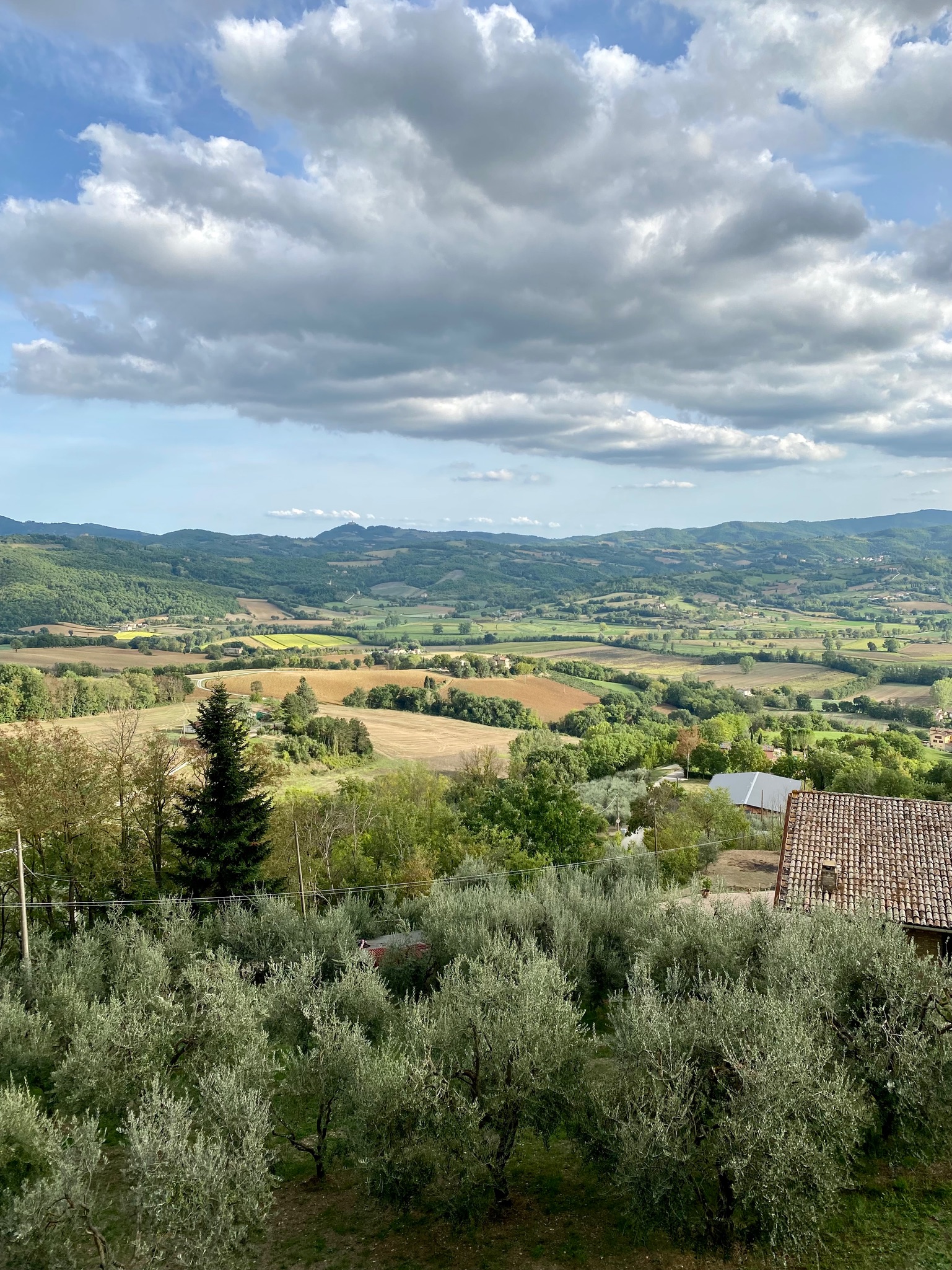 Day 5 - Sansepolcro to Citerna