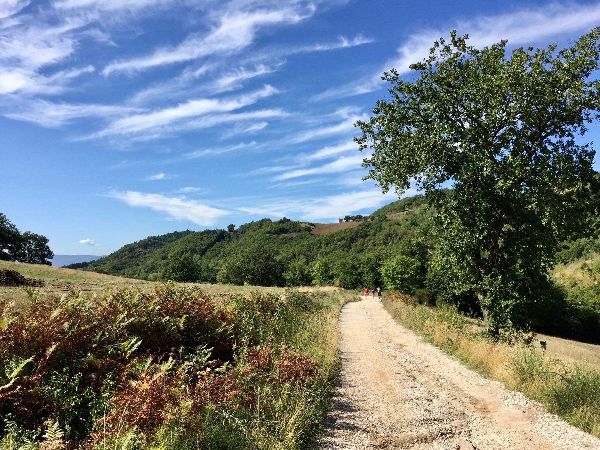Day 12 - Valfabbrica to Assisi