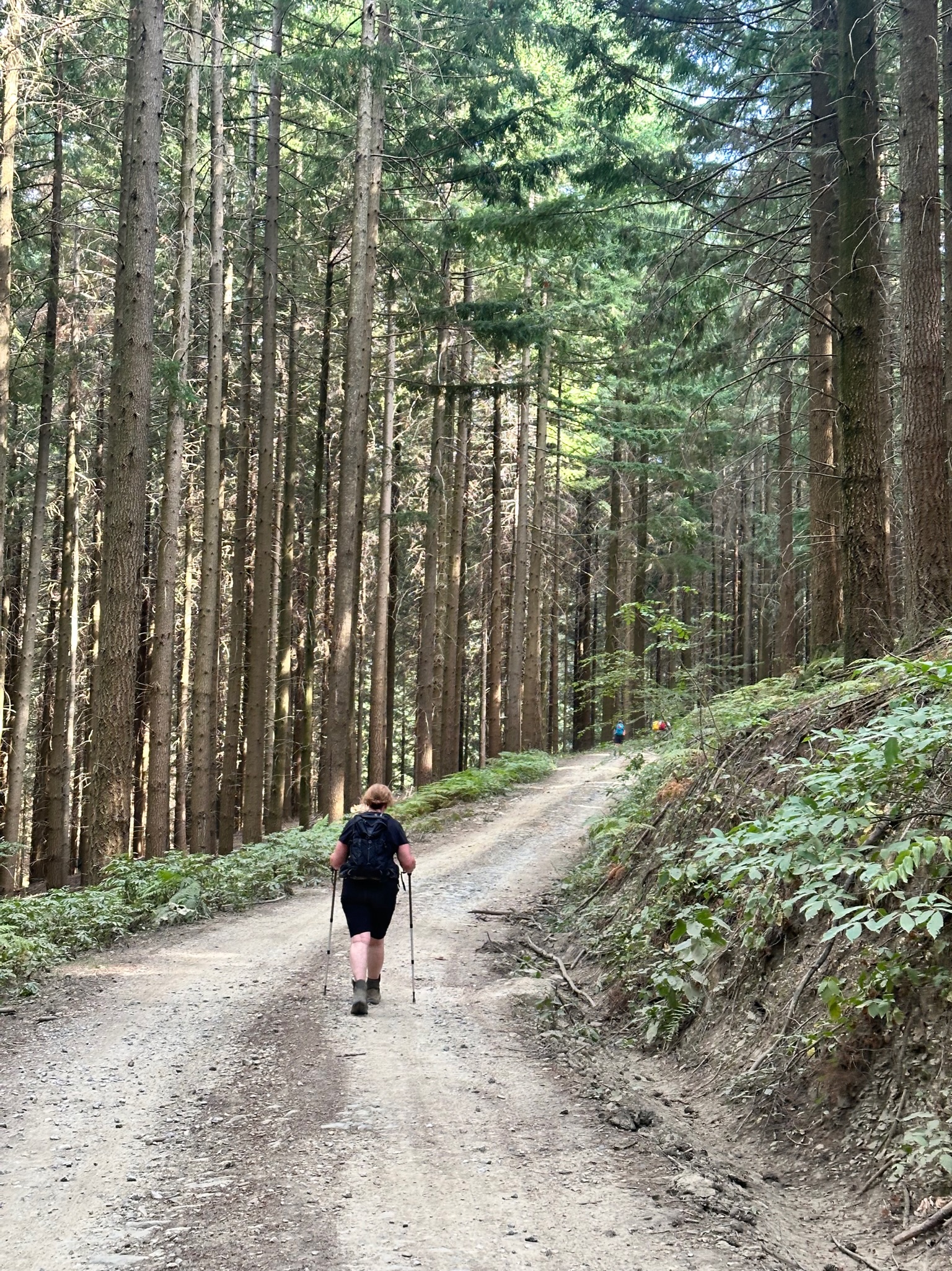 Day 3 - Pontassieve to Consuma