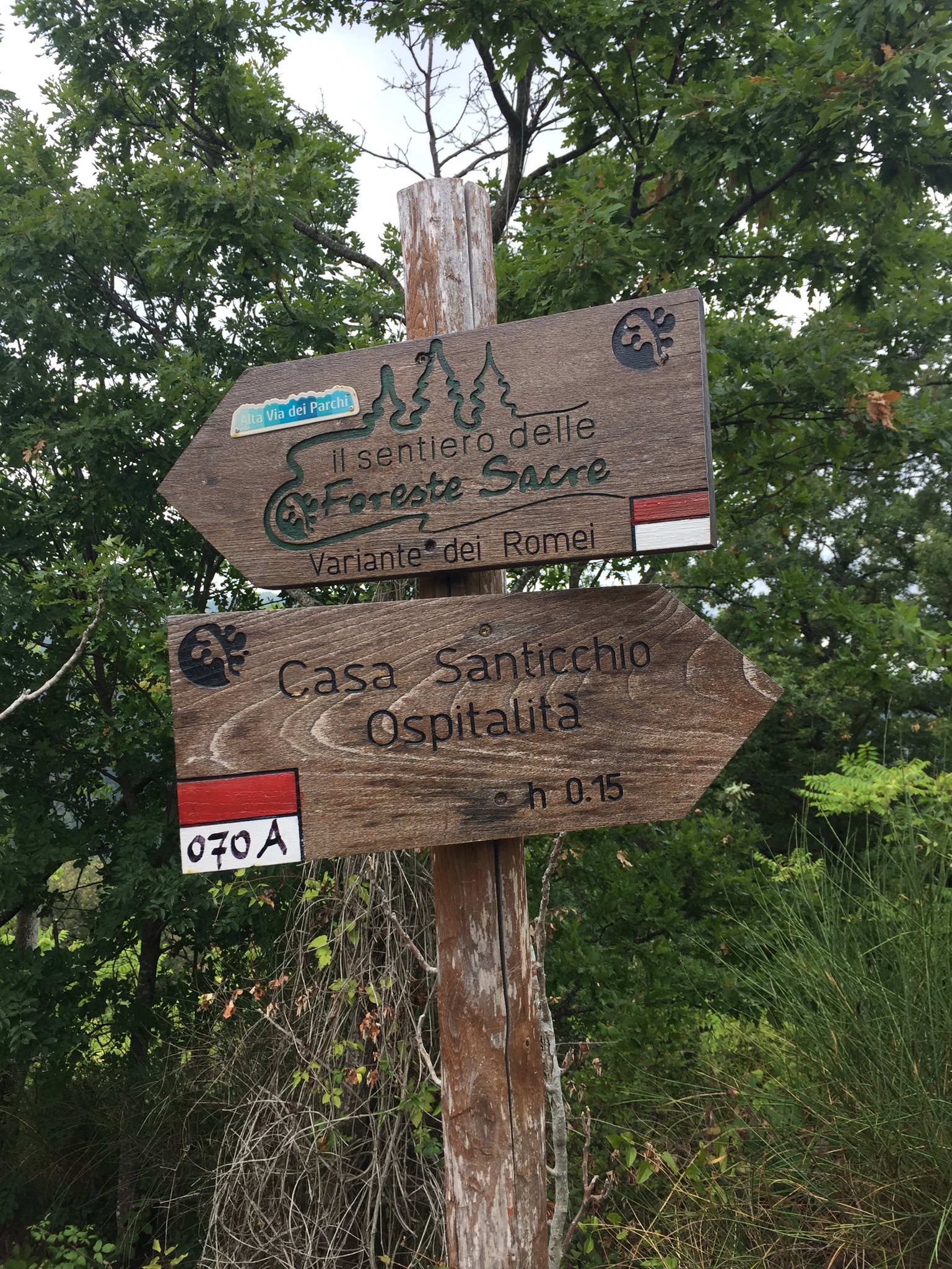 Day 7 - Badia Prataglia to Santicchio