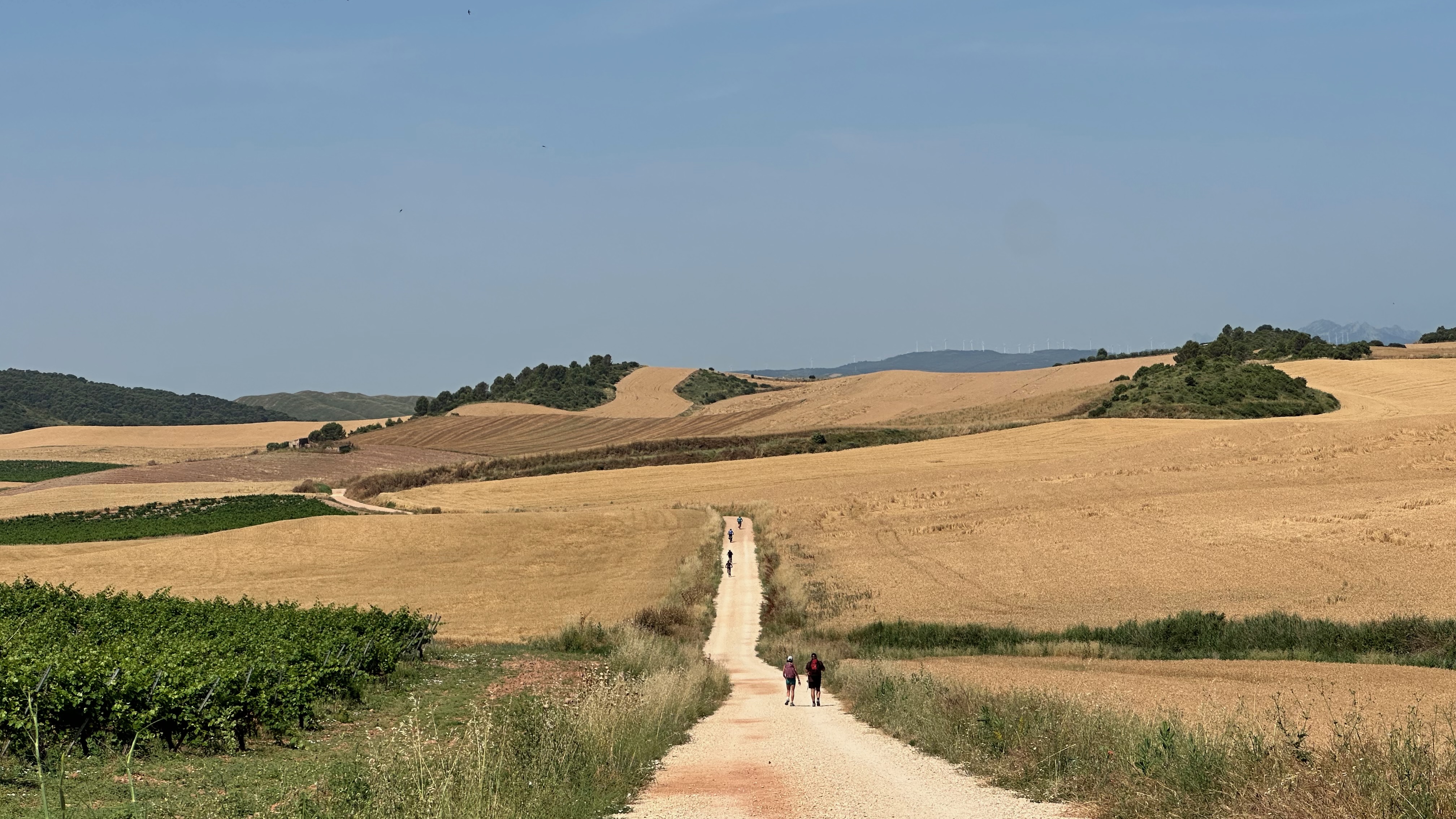 Day 4 - Estella to Los Arcos