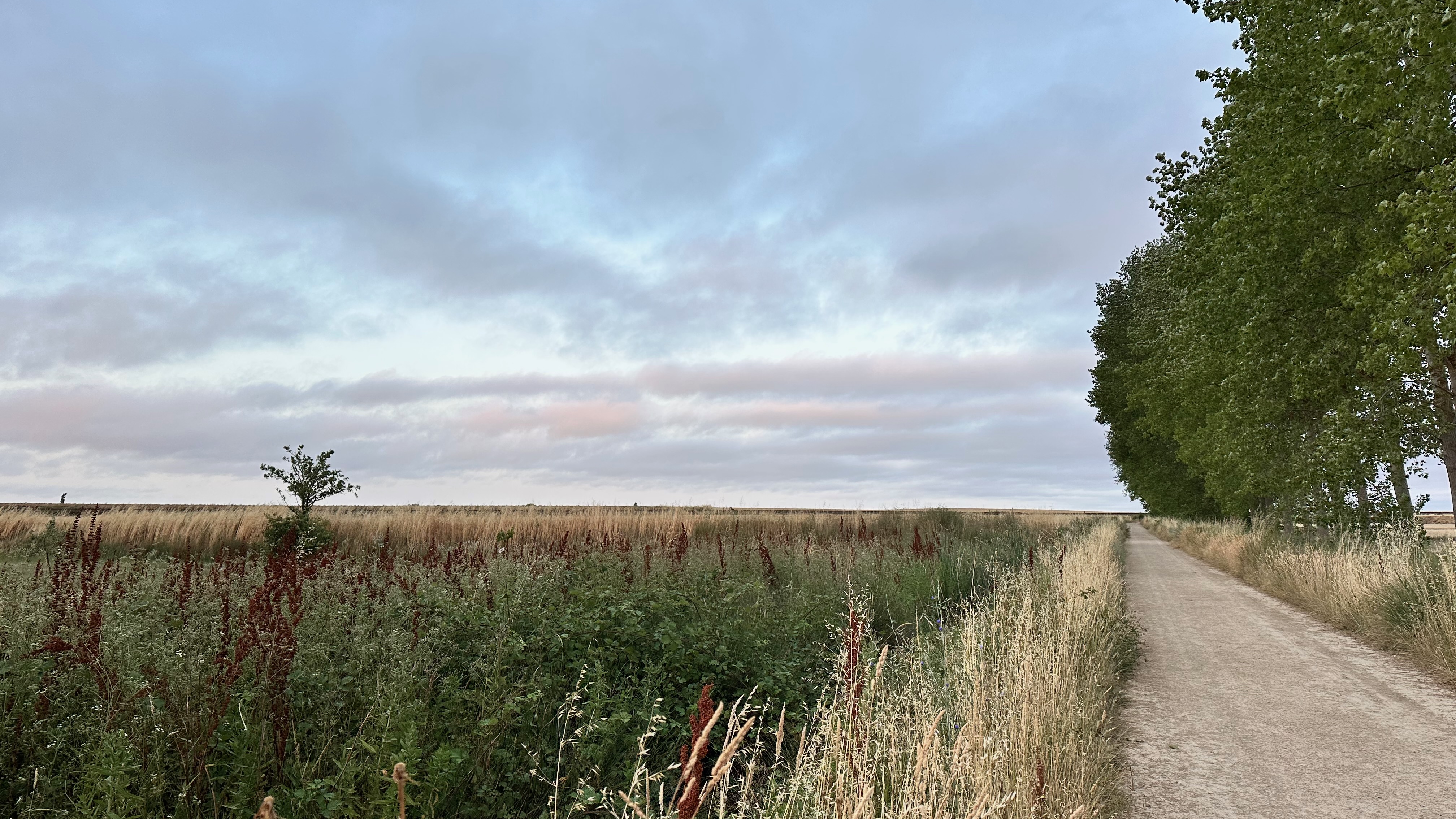 Day 15 - Castrojeríz to Frómista