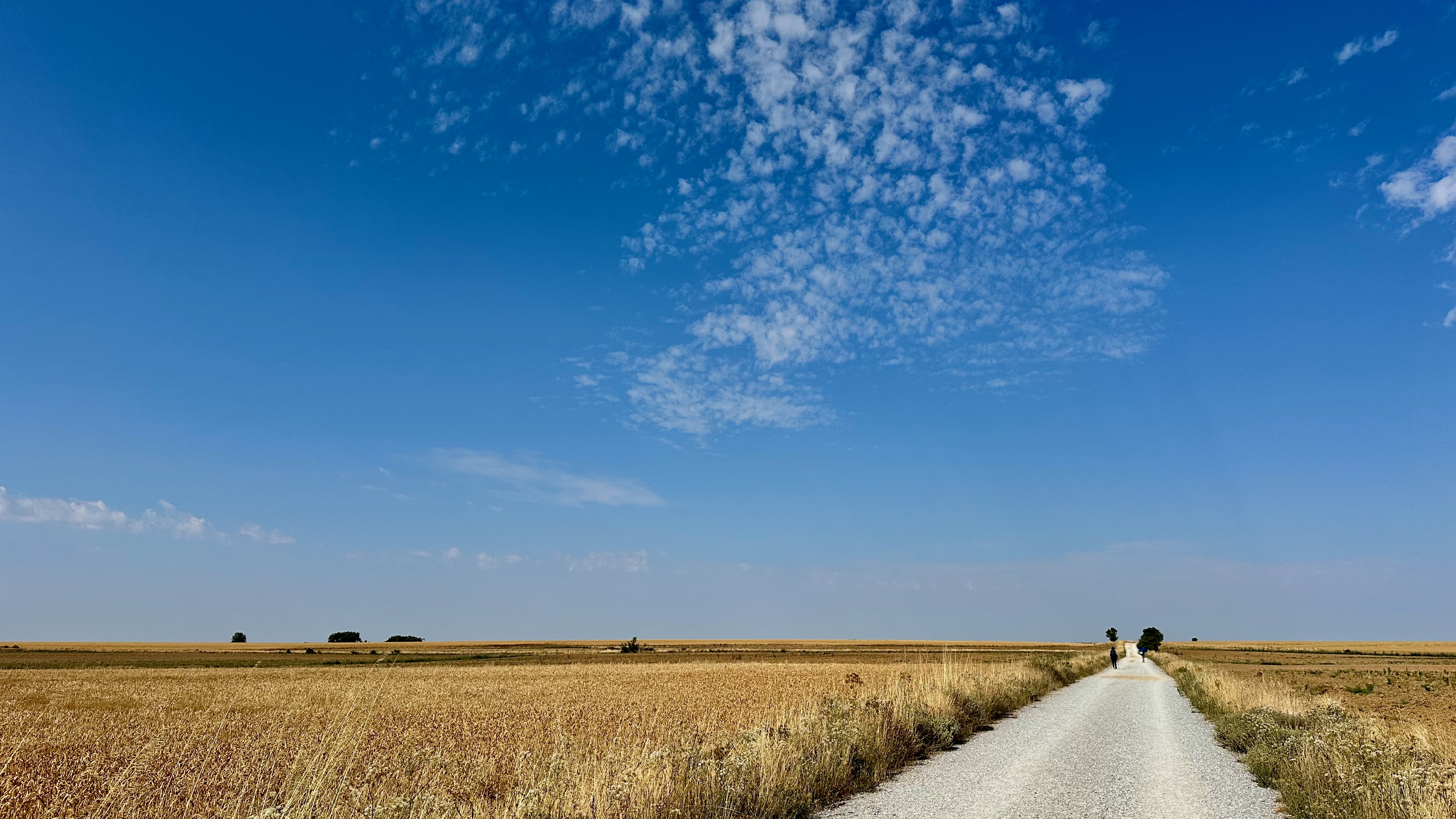 Day 6 - Carrión de los Condes to Ledigos