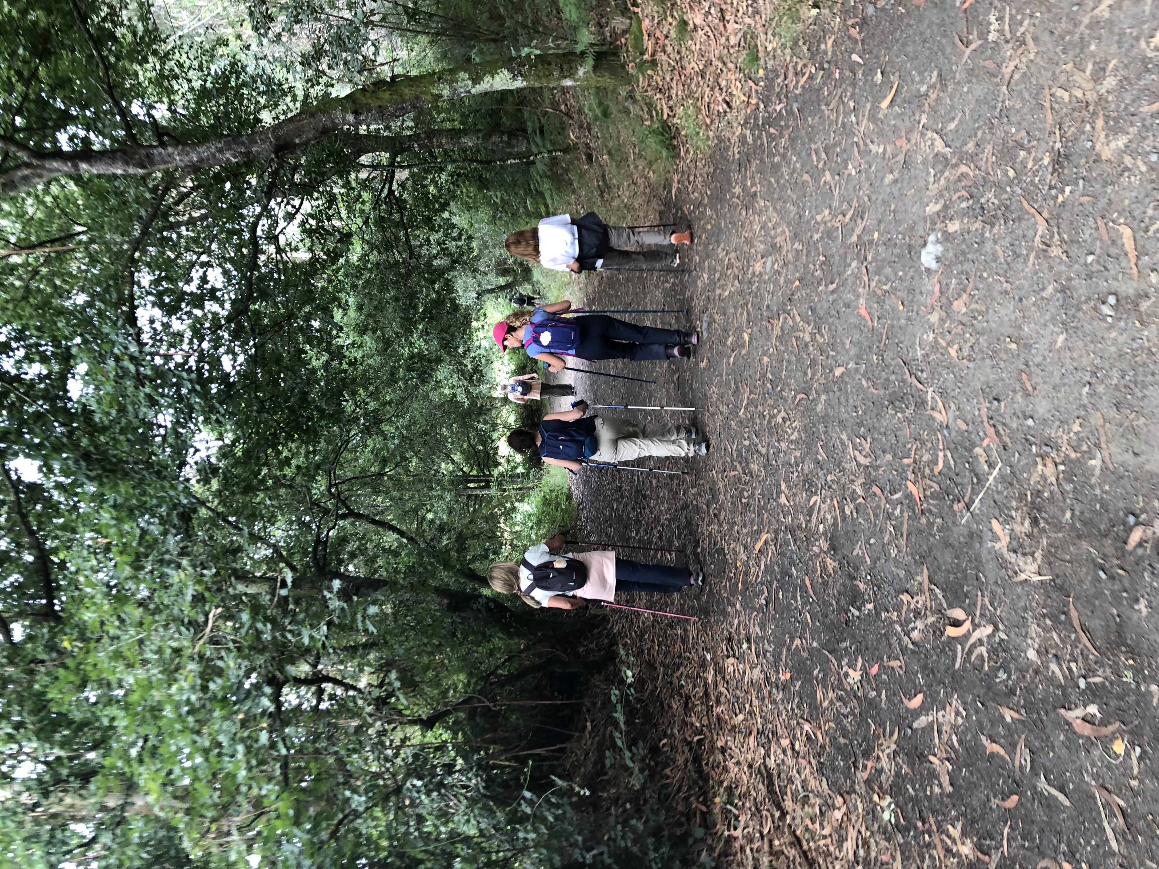 Day 25 - Arzúa to O Pedrouzo