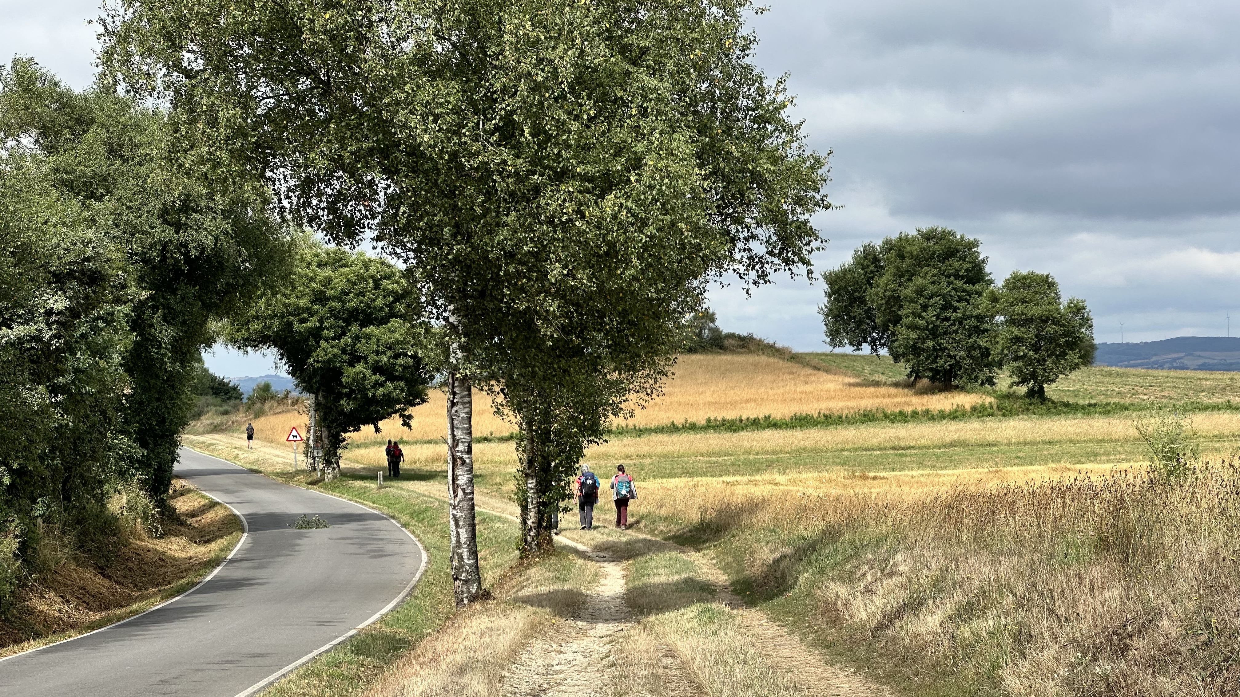 Day 10 - Triacastela to Sarria